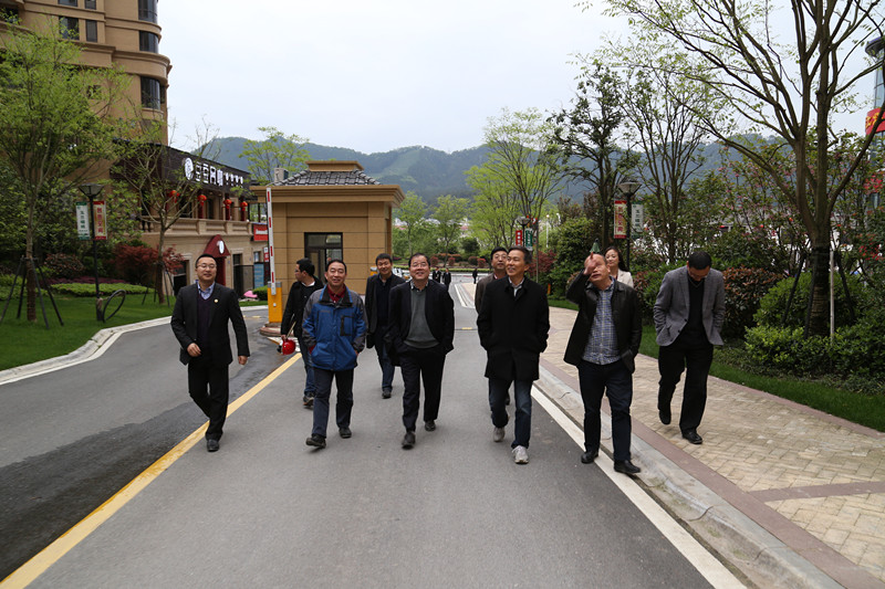 集团公司领导调研澜庭国际项目建设销售情况