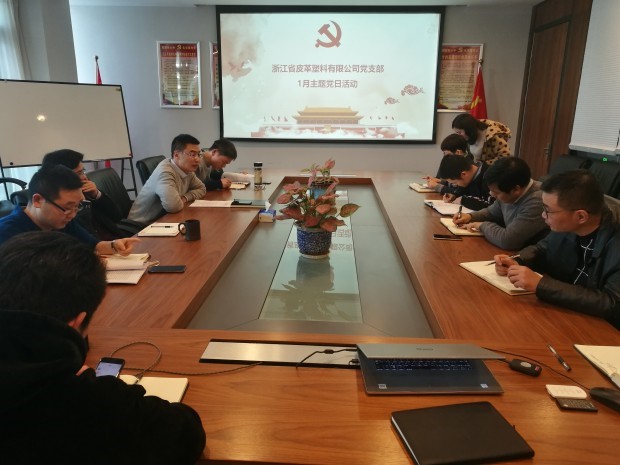 皮塑公司召开学习集团党代会精神主题党日活动