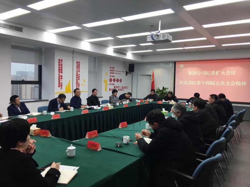 集团公司纪委召开全体（扩大）会议学习传达中央纪委和省纪委全会精神